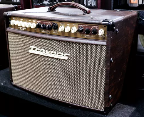 Store Special Product - Traynor - AM Standard 2-Channel Stereo Acoustic Guitar Amp - 150 Watts
